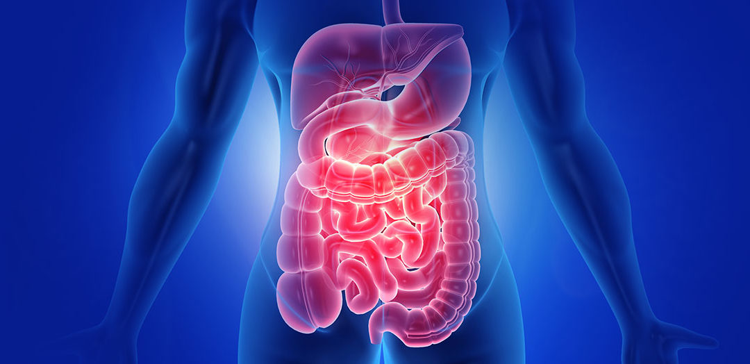 Colon irritabile (Irritable Bowel Syndrome – IBS)